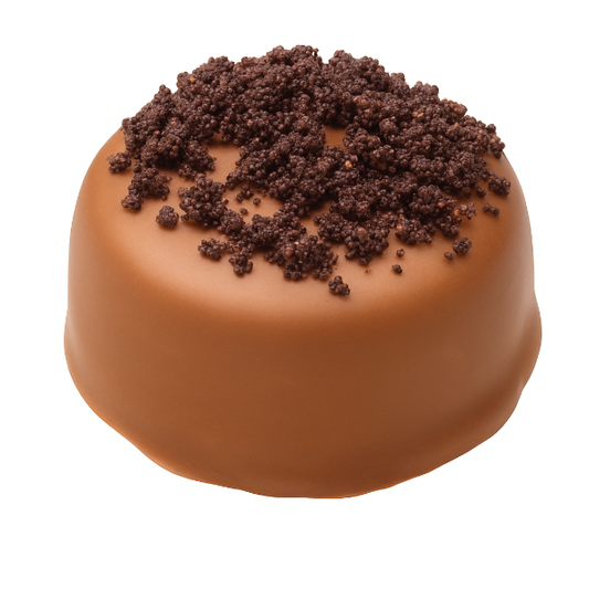 Chocolate Fudge Brownie Truffle - Wholesale Box (75 Units)